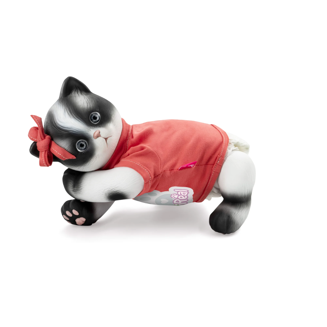 AniReal Gato Blanco y Negro