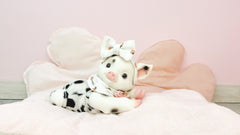 AniReal Cerdita Moteada